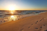 Такси аэропорт Симферополь Заозерное, Евпатория.